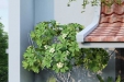 upload/baiviet/THAO - HOUSE