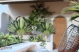 upload/baiviet/THAO - HOUSE