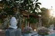 upload/baiviet/THE STONE LOTUS HOUSE