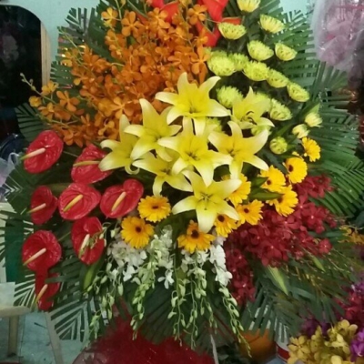 Lẵng Hoa Chúc Mừng