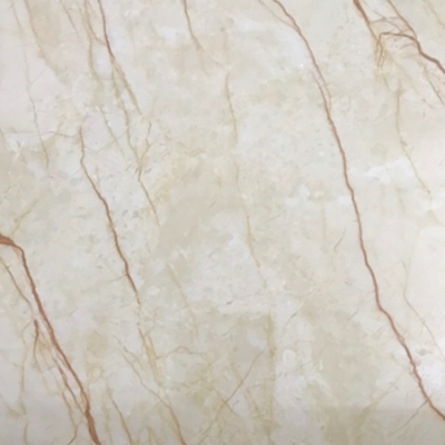 Nhựa Giả Đá - DLS09