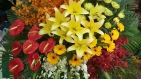 Lẵng Hoa Chúc Mừng