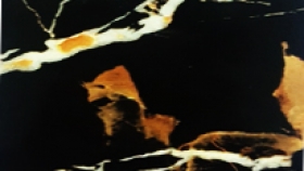 Nhựa Giả Đá - PL8619