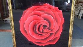TRANH 2D - 3D PVC